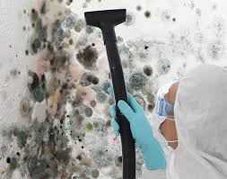 Best Black Mold Removal  in Orange, CA